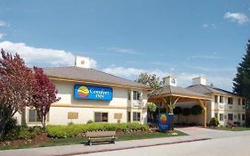 Comfort Inn Santa Cruz